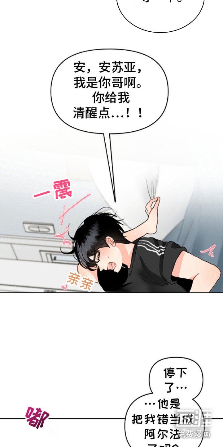 第1章：发热期