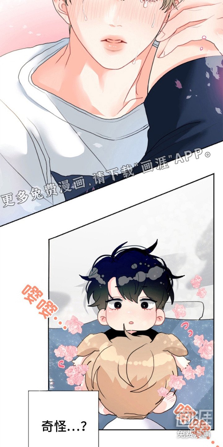 第1章：发热期
