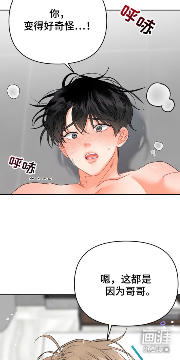 第11章：确认一下