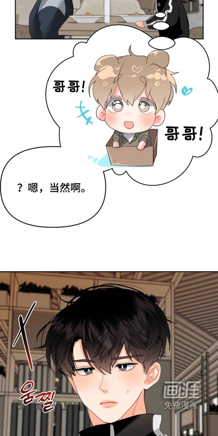 第13章：喜欢的类型