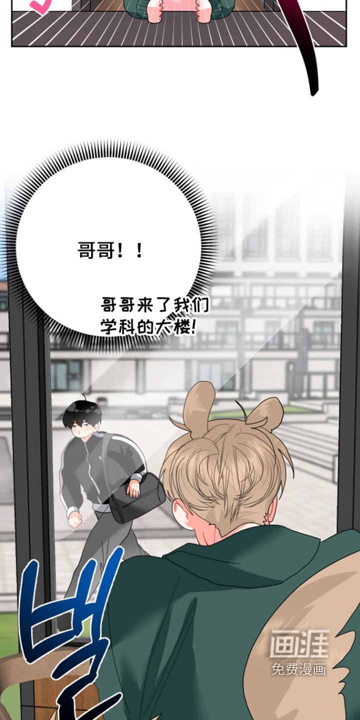 第14章：为什么骗我