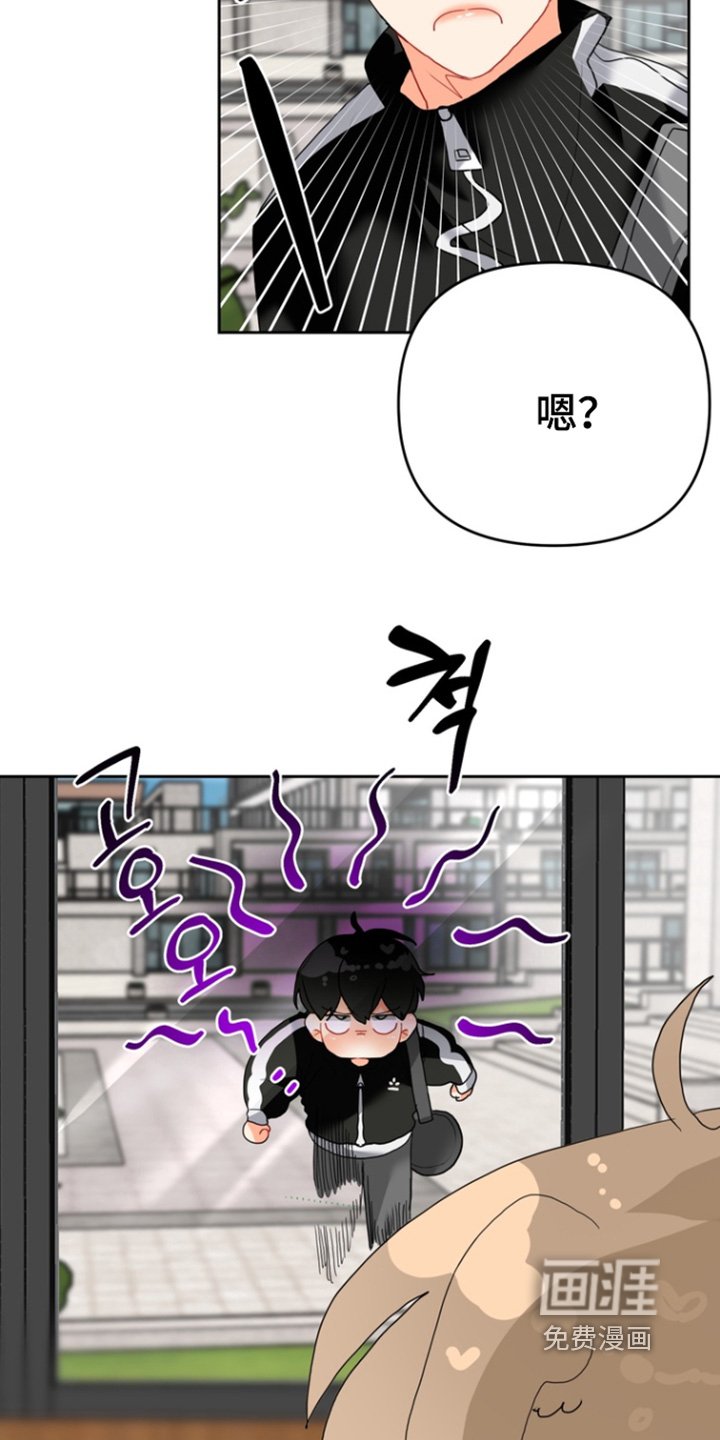 第14章：为什么骗我