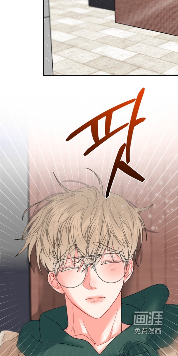 第14章：为什么骗我
