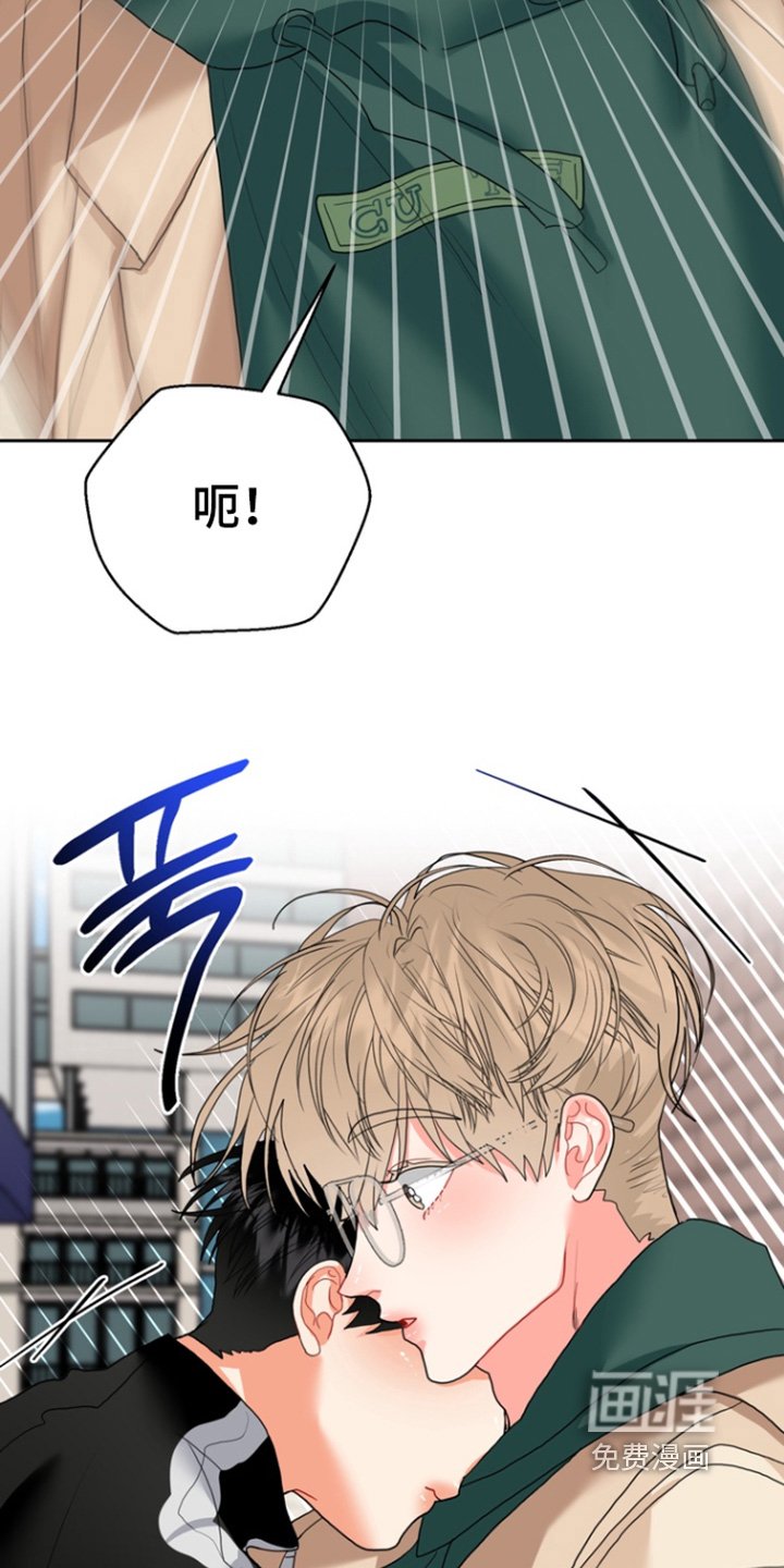 第14章：为什么骗我