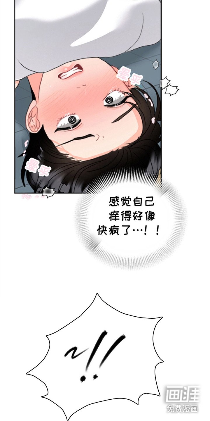 第2章：不是梦