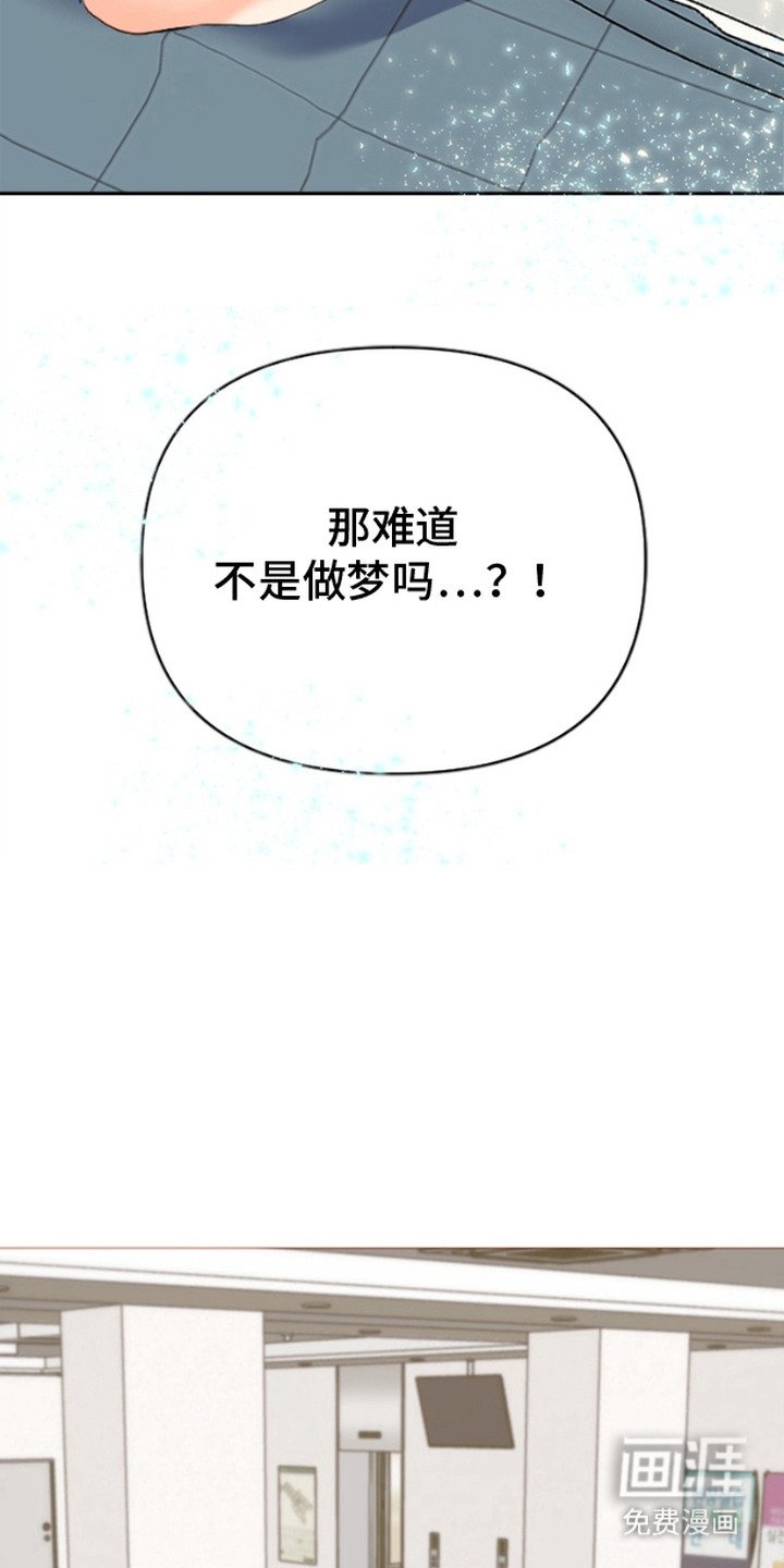 第2章：不是梦