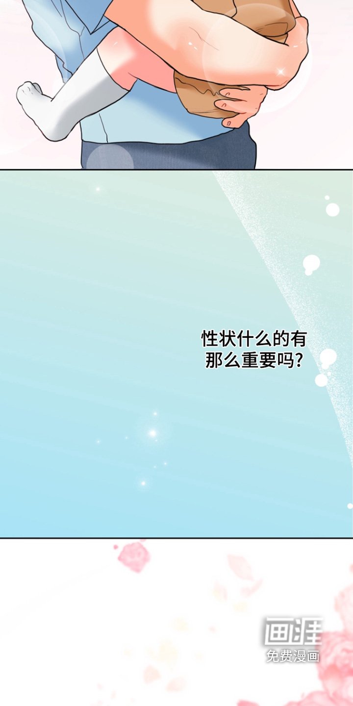 第23章：停下