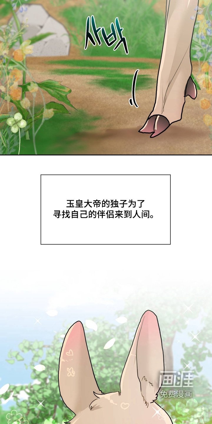 第27章：不要走