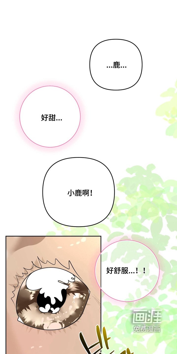 第27章：不要走