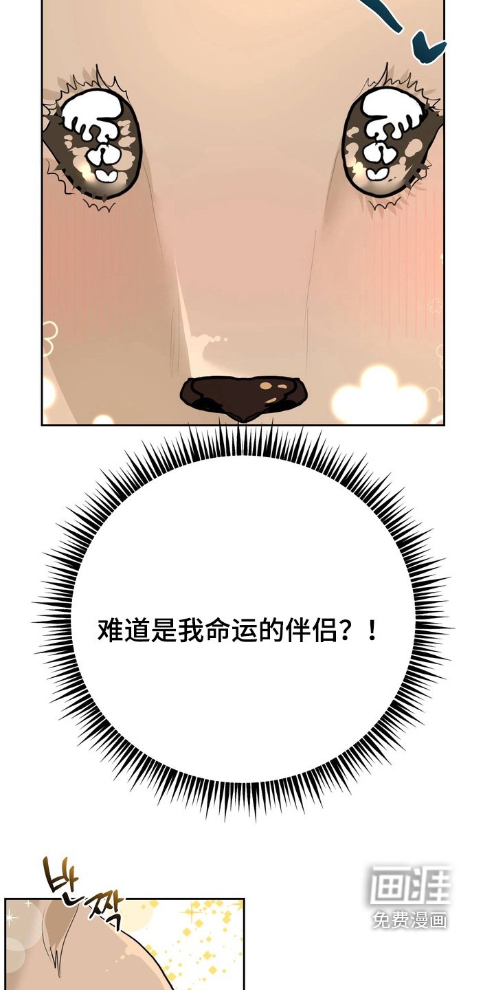第27章：不要走