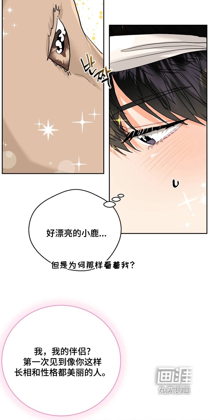 第27章：不要走