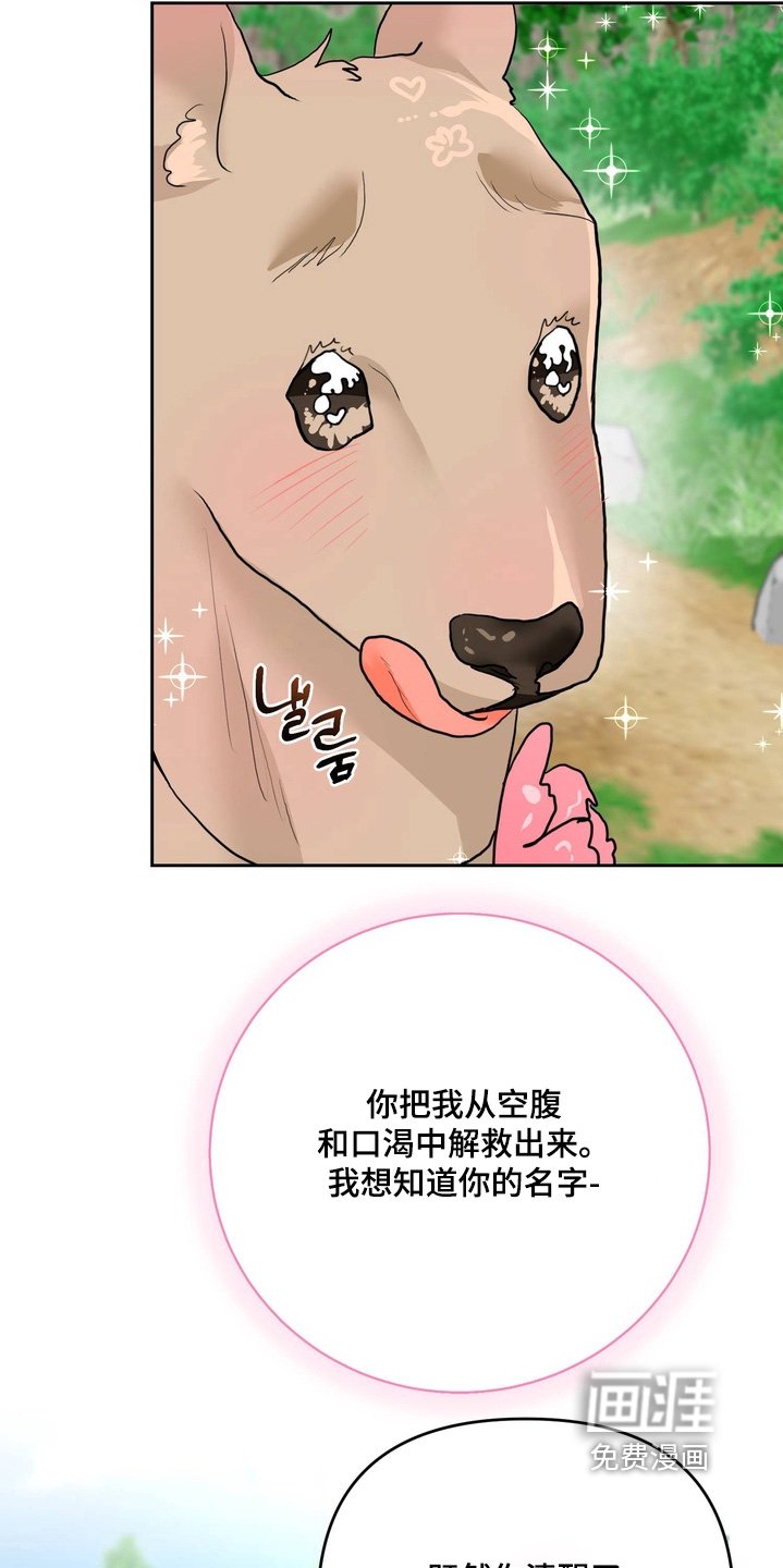 第27章：不要走