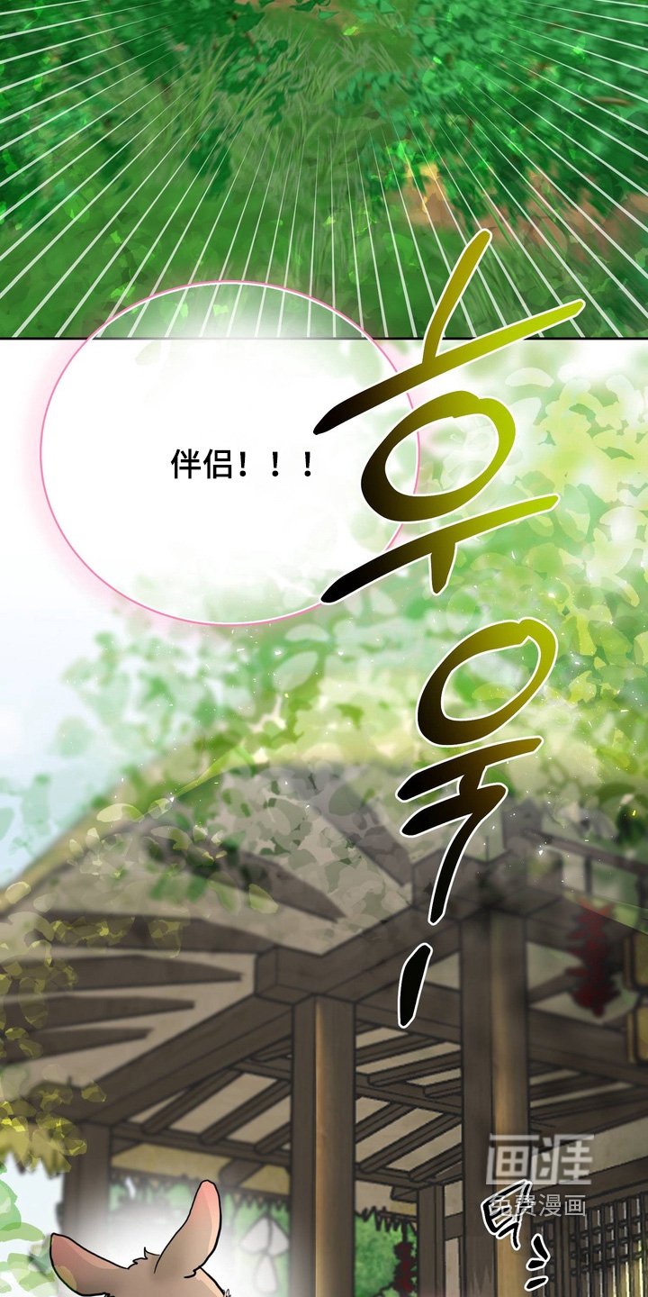 第27章：不要走