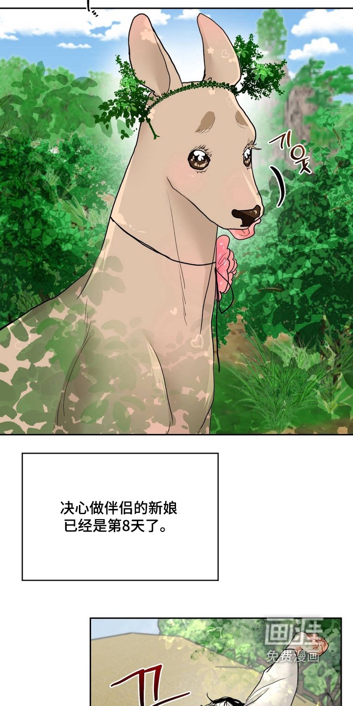 第28章：你不能拒绝