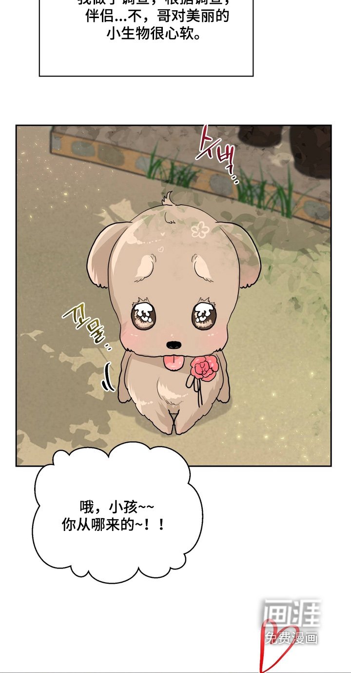第28章：你不能拒绝