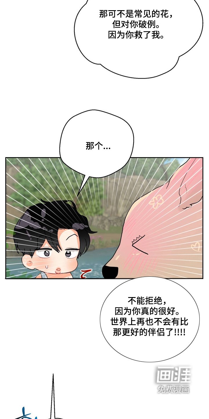 第28章：你不能拒绝