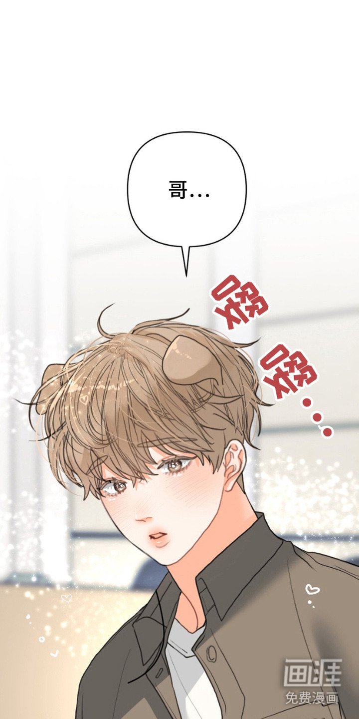 第3章：躲避