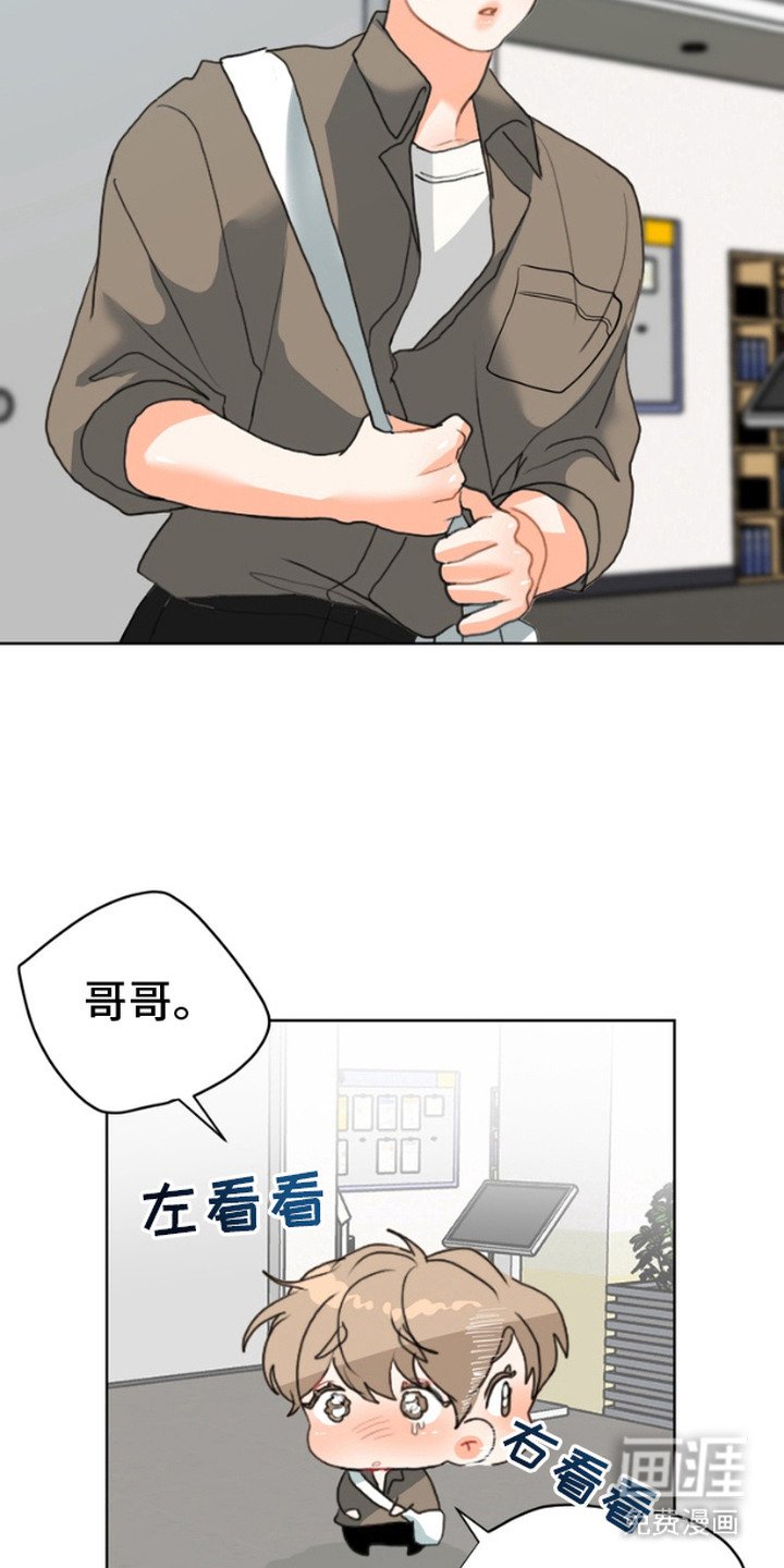 第3章：躲避