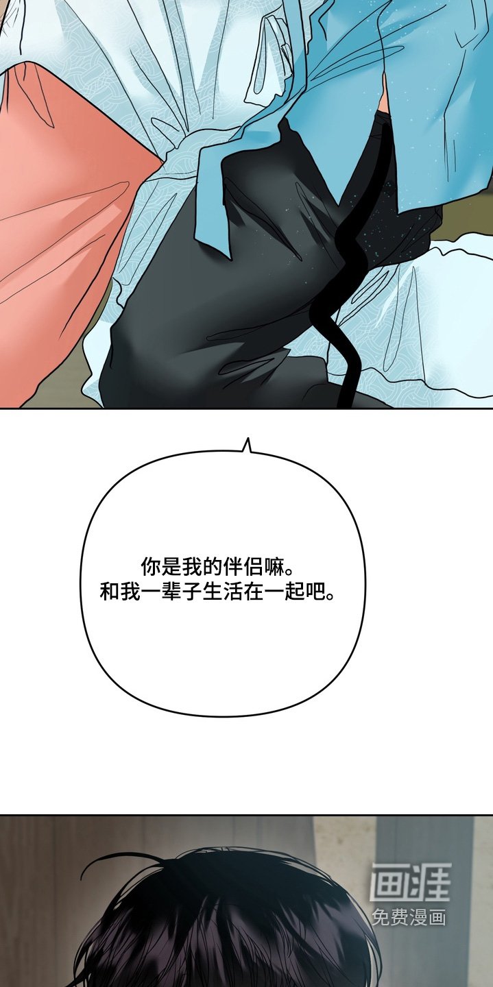 第35章：你是我伴侣