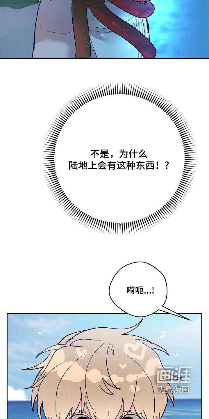 第37章：试过没有