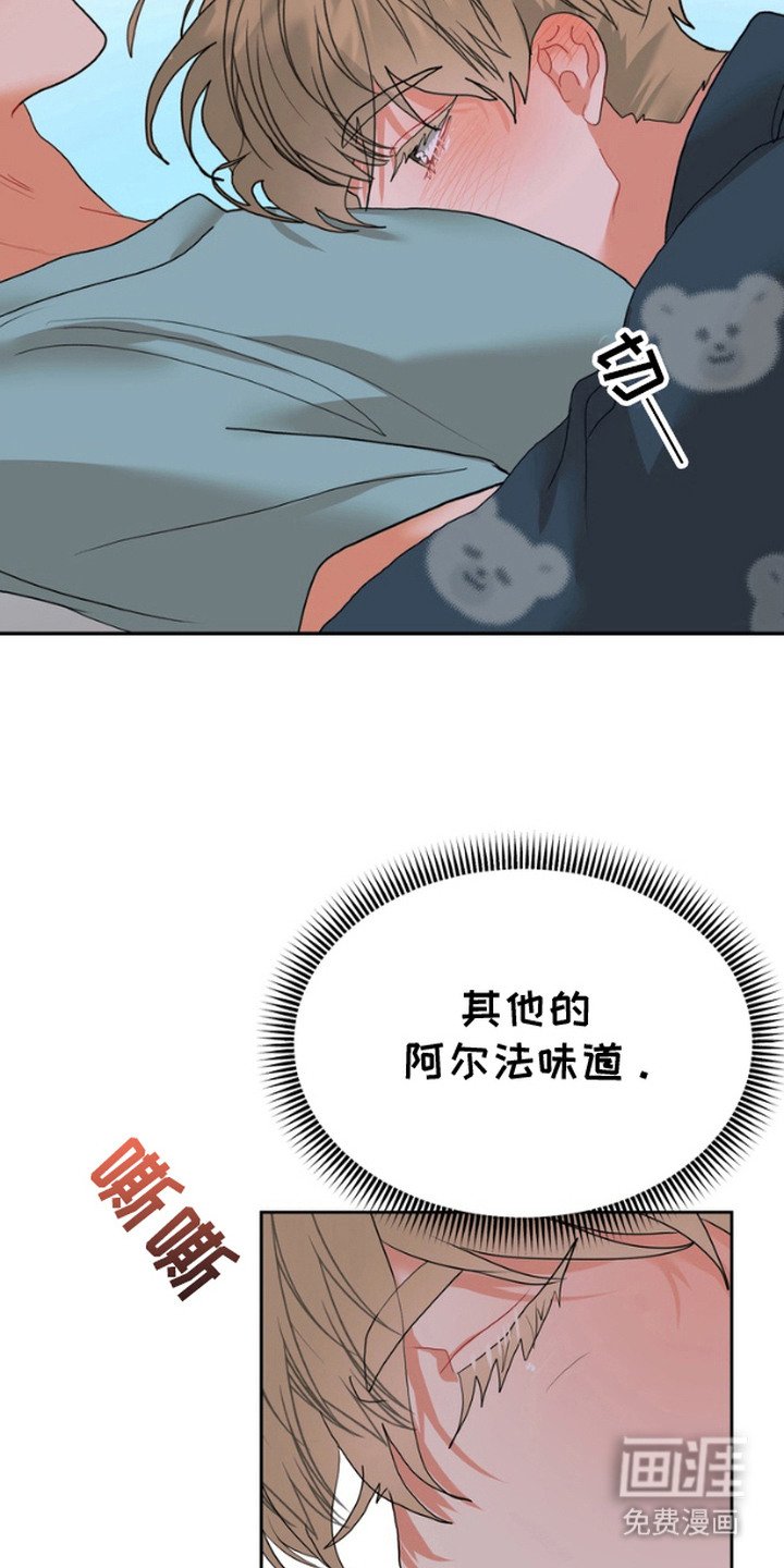 第8章：保护