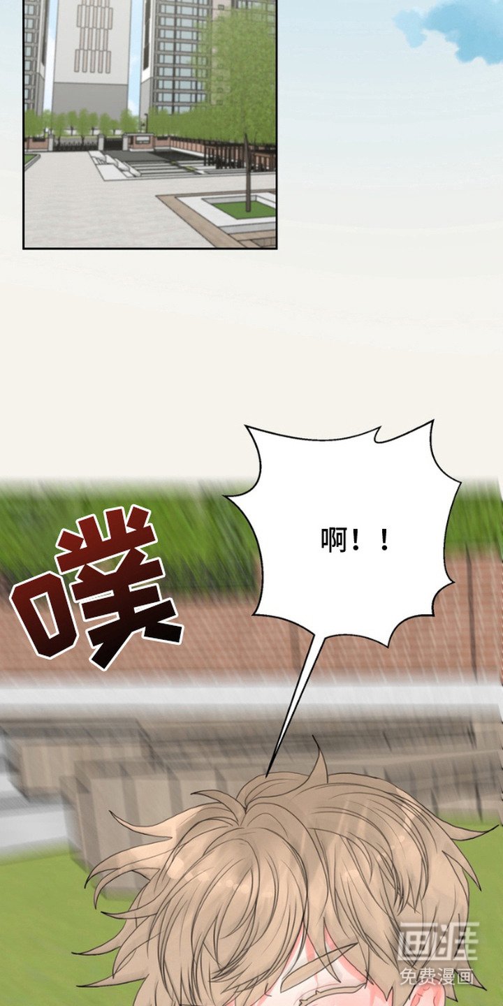 第8章：保护