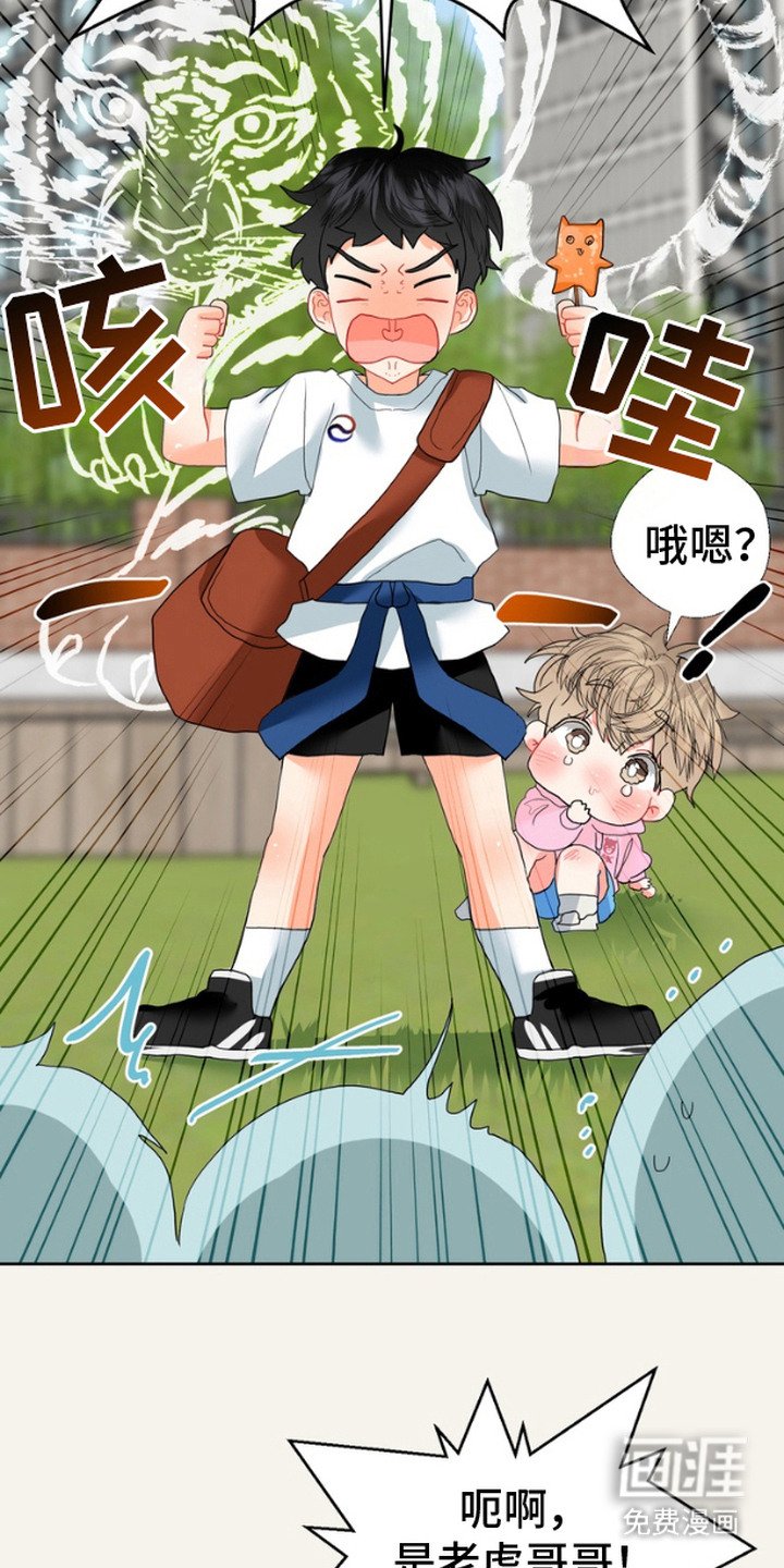 第8章：保护