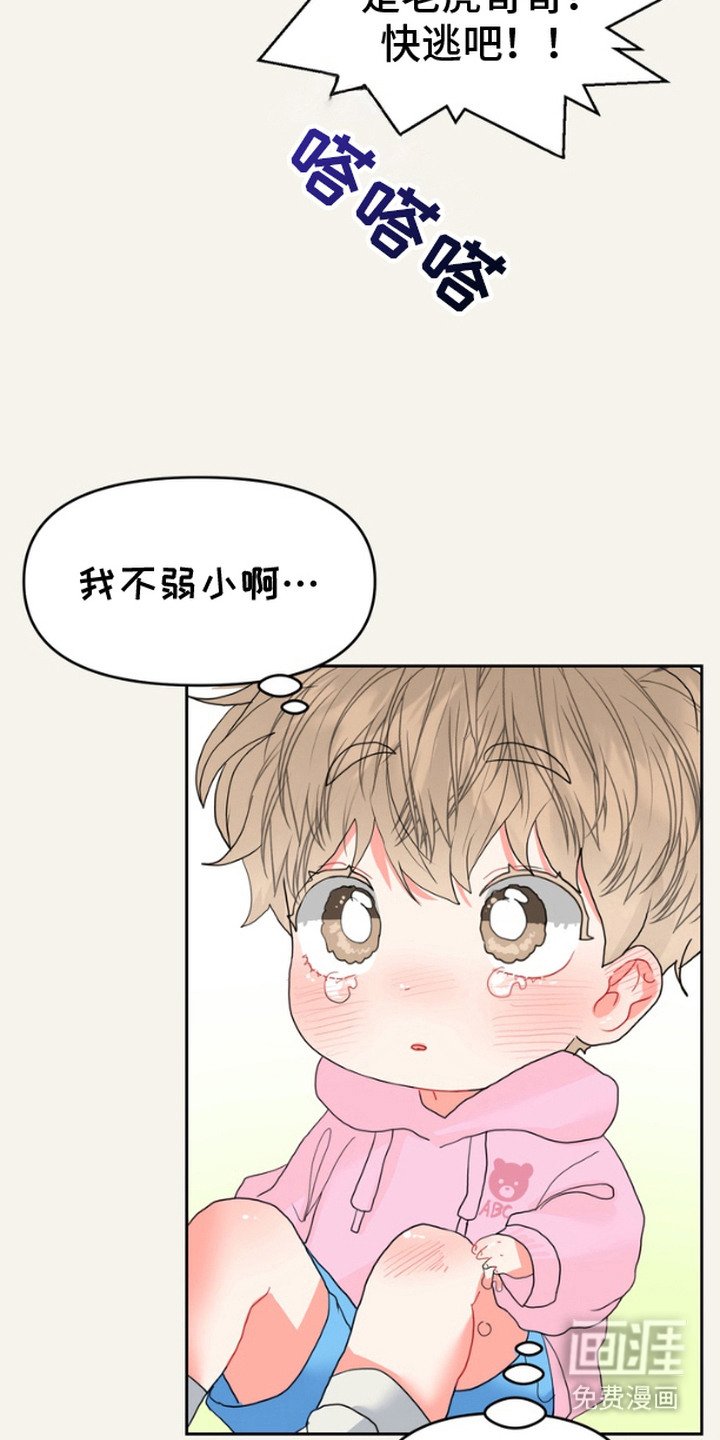 第8章：保护