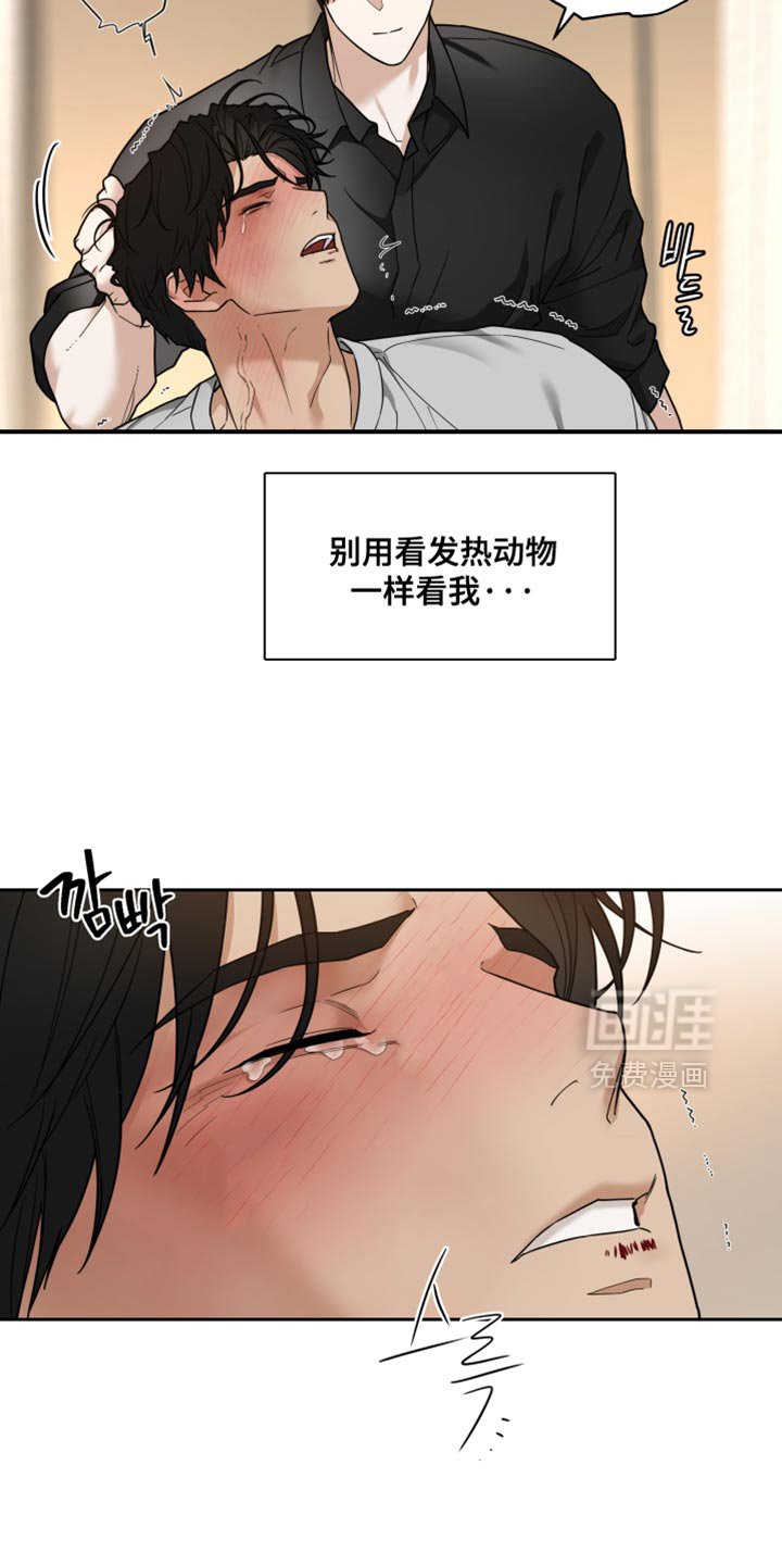 第29章：改变主意