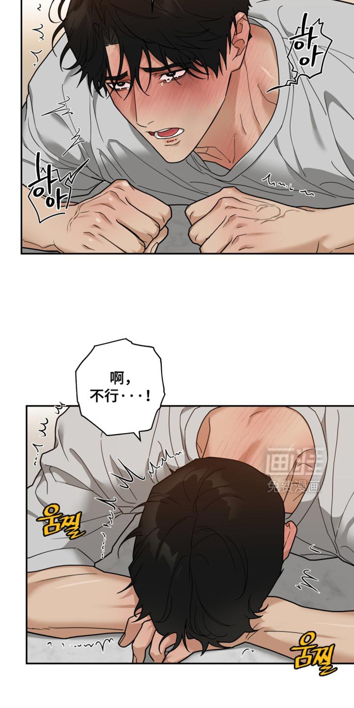 第29章：改变主意