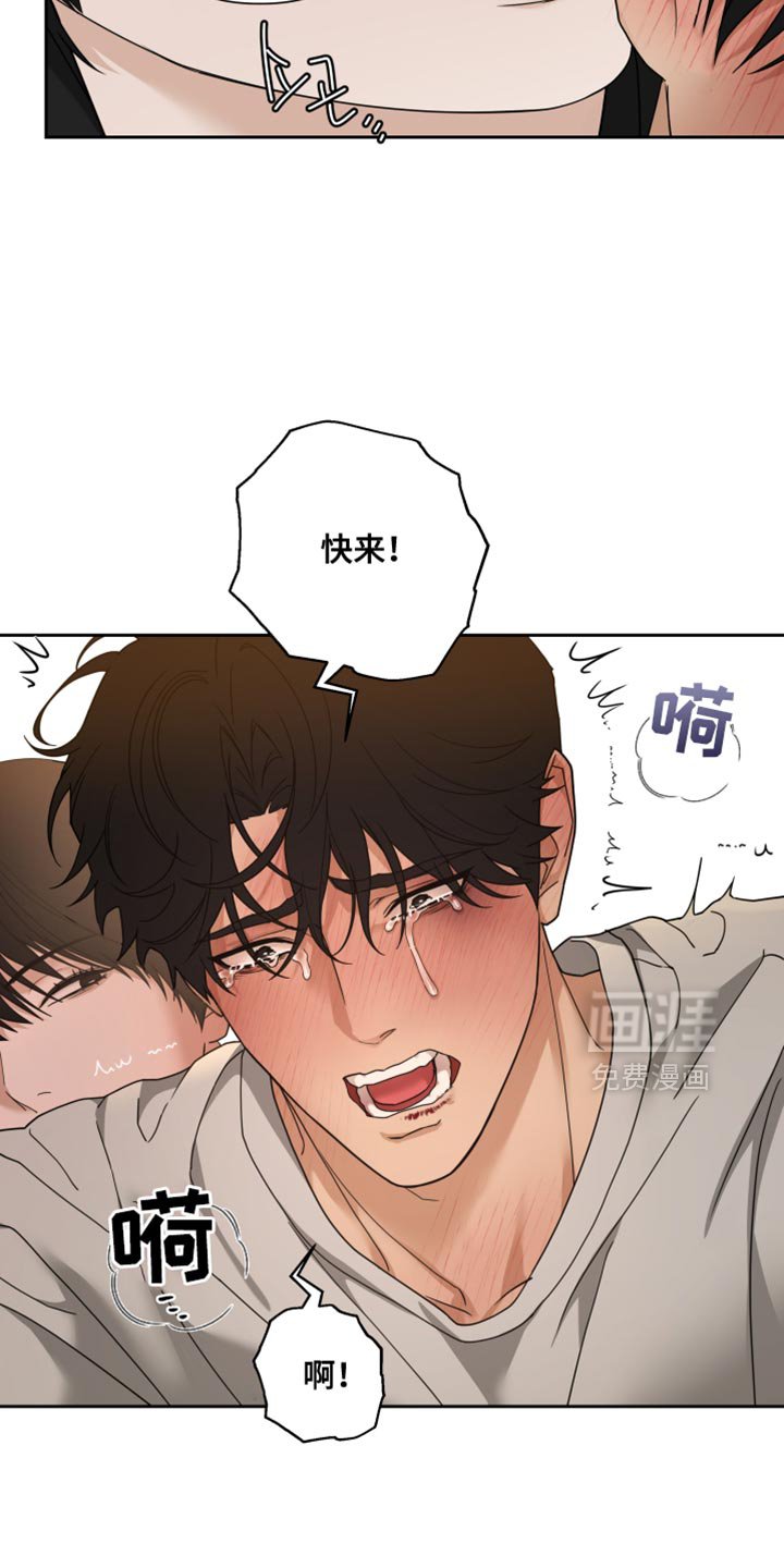 第29章：改变主意