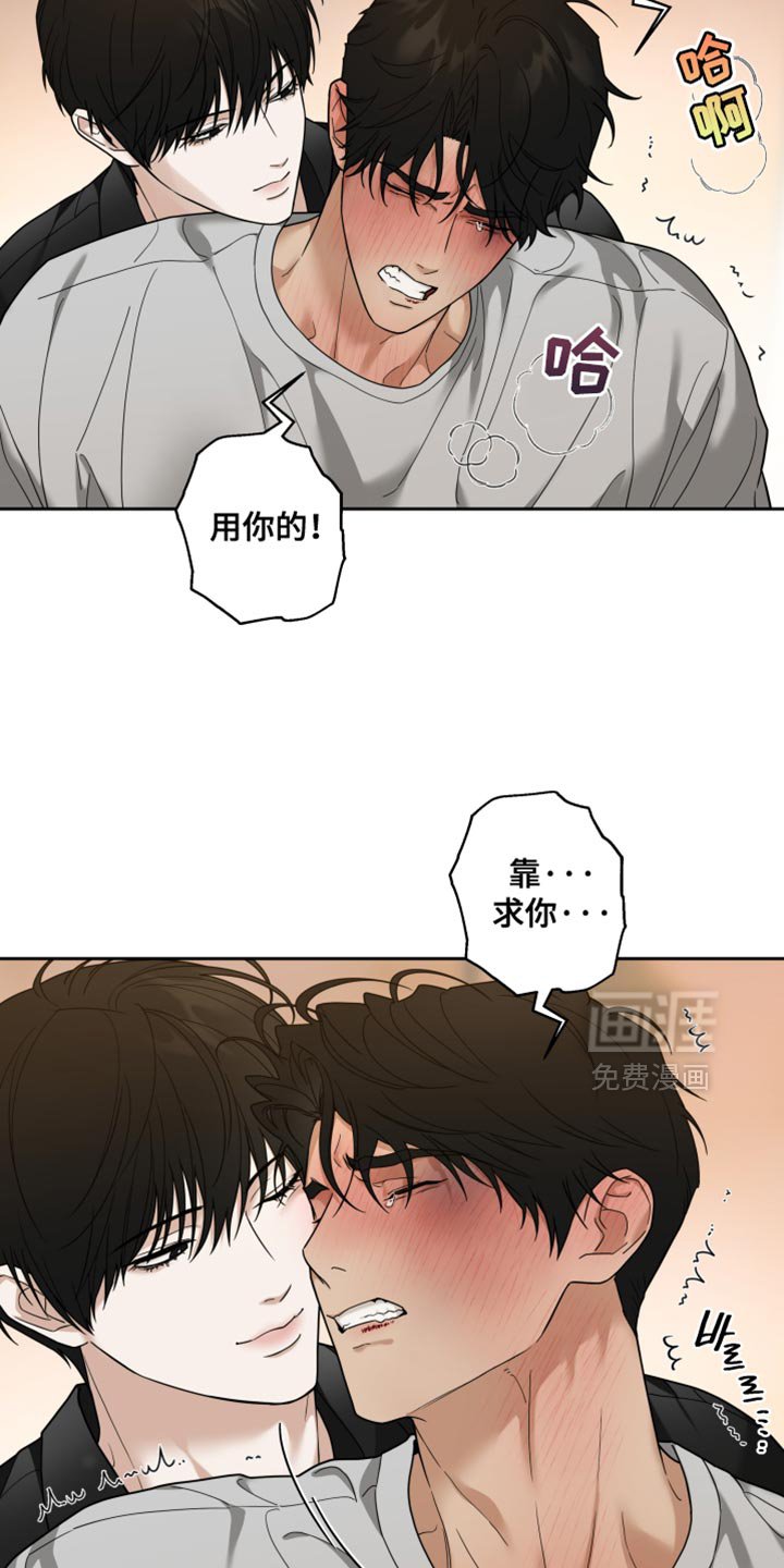 第29章：改变主意