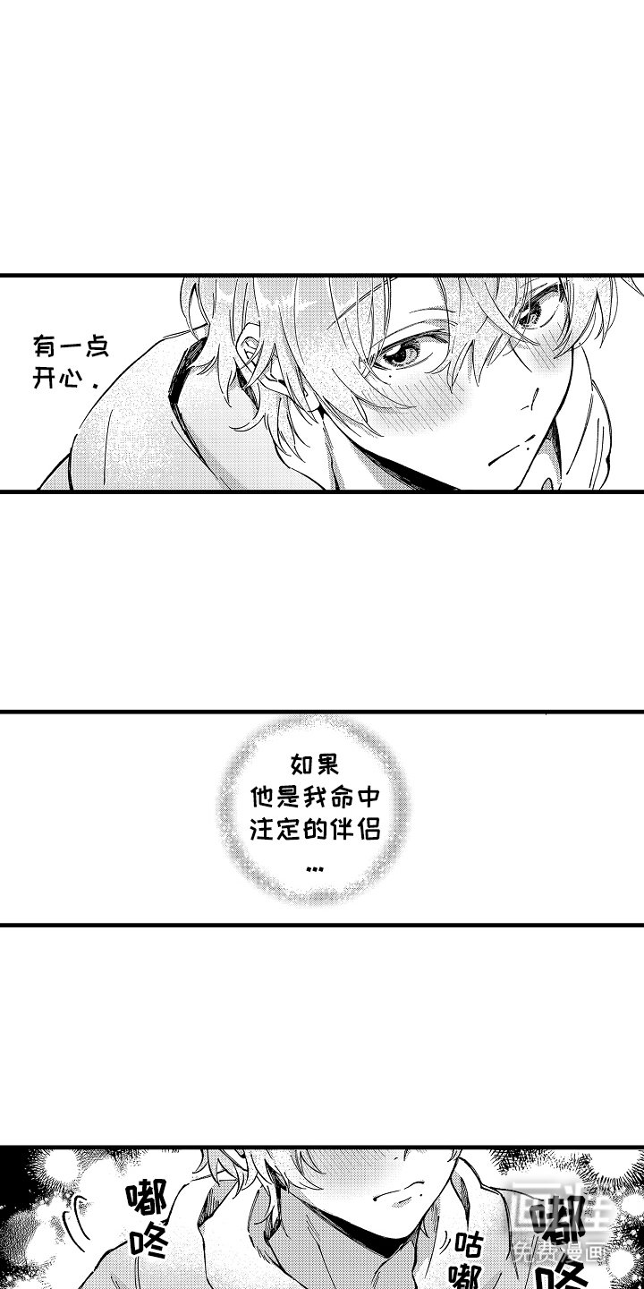 第10章：伴侣