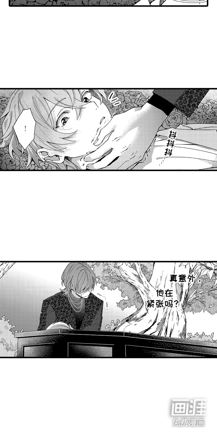 第3章：正式开拍
