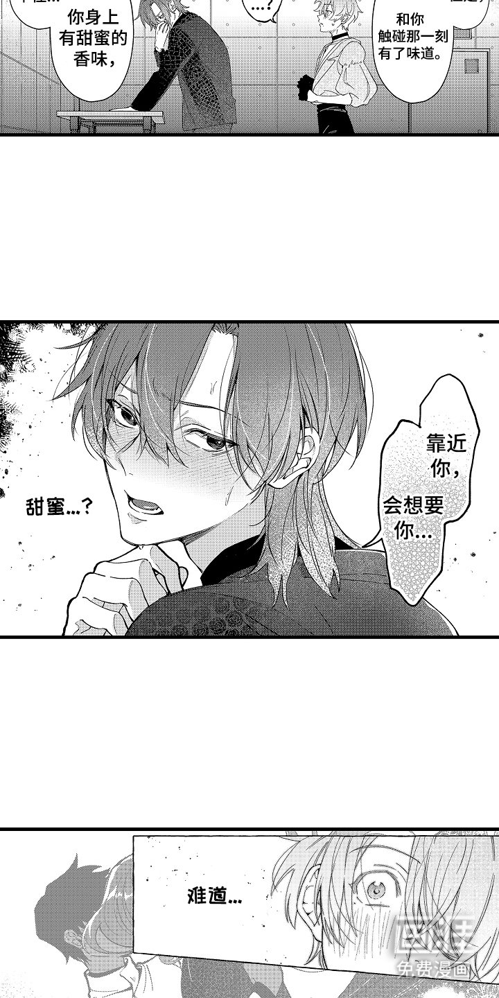 第4章：无味觉