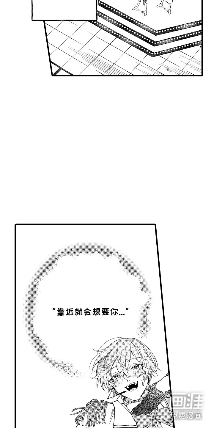 第6章：我的粉丝