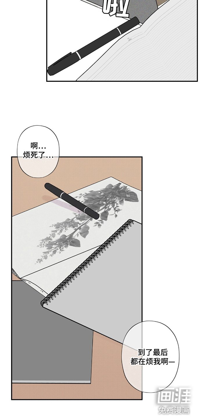 第13章：画集