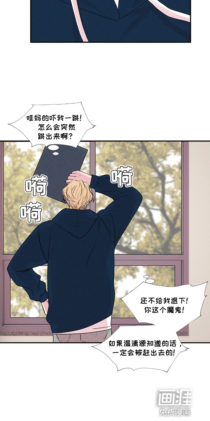 第21章：奇怪的想法