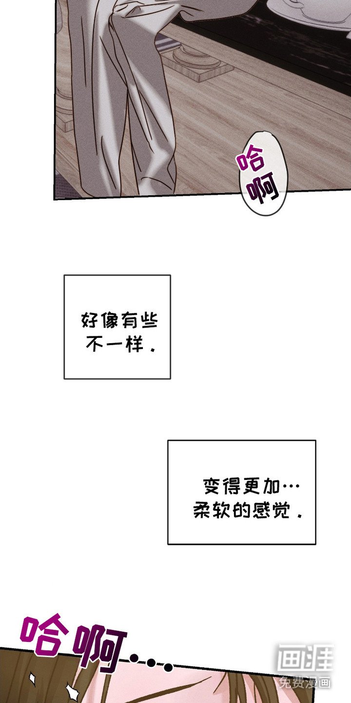 第1章：粉丝