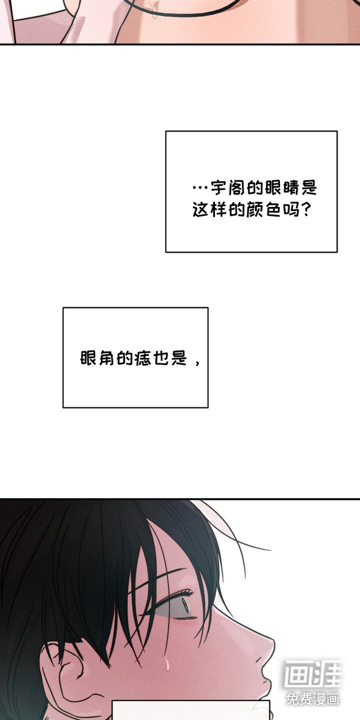 第1章：粉丝