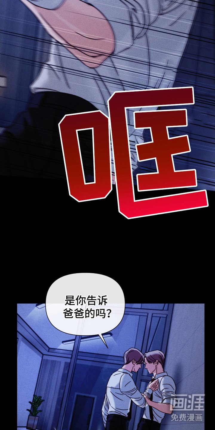 第8章：替代品