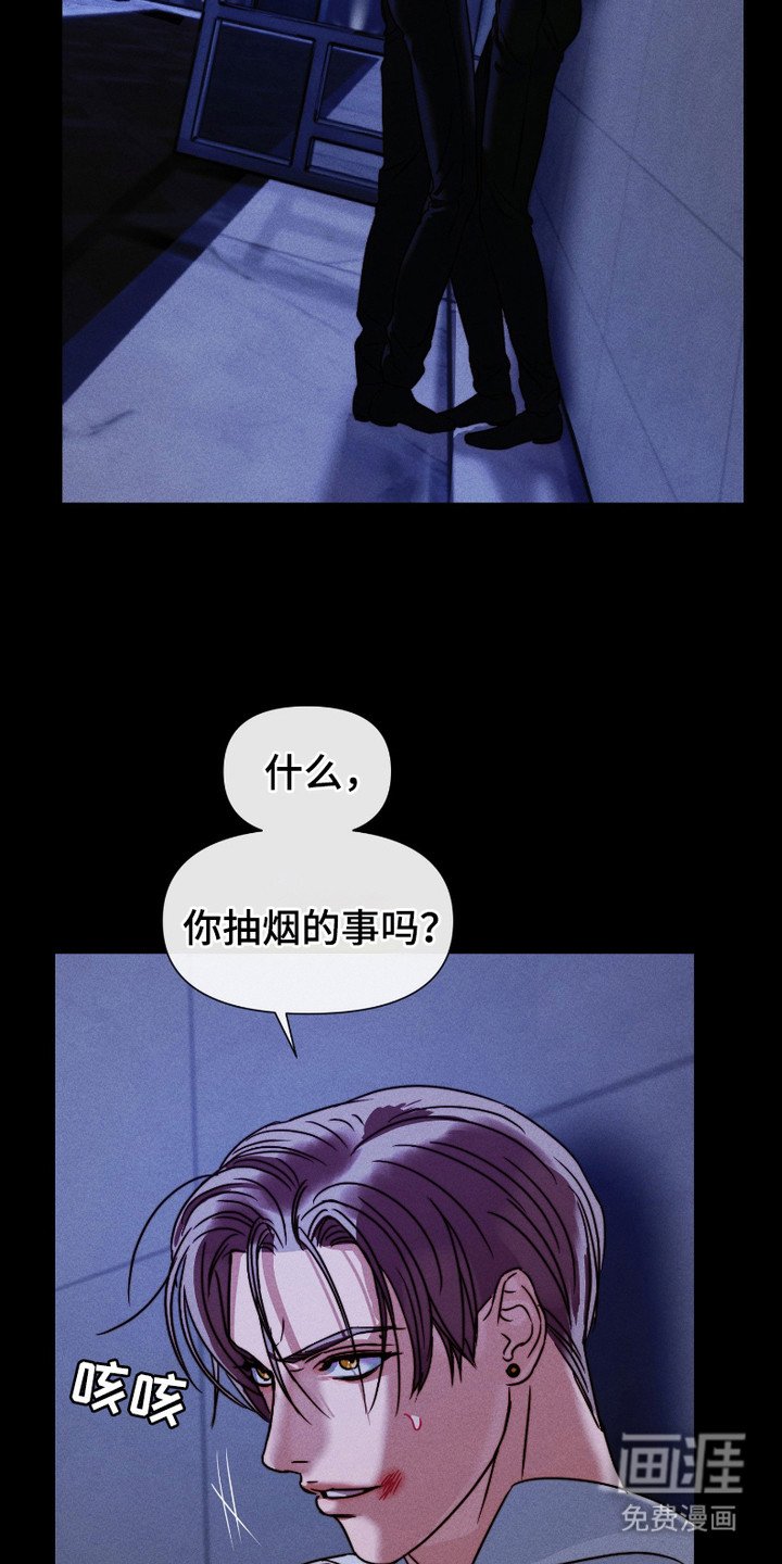 第8章：替代品