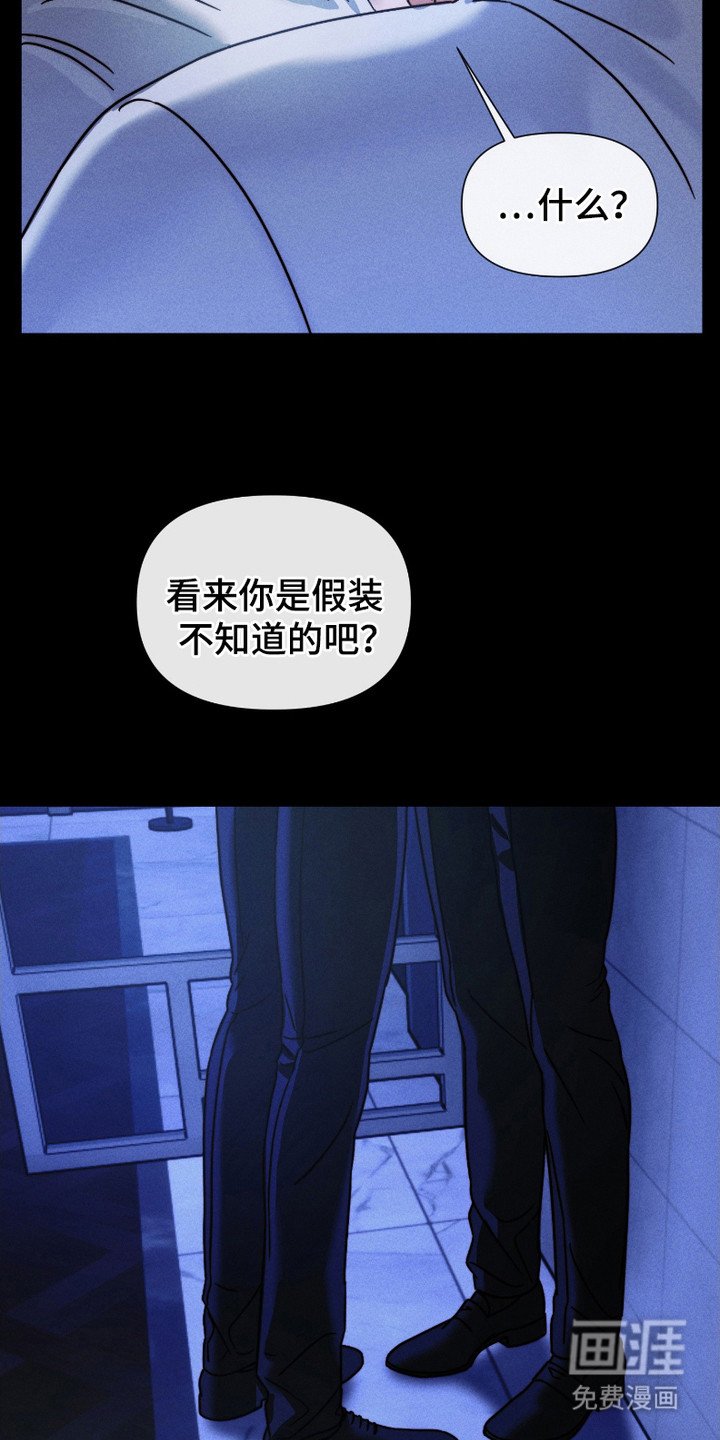 第8章：替代品
