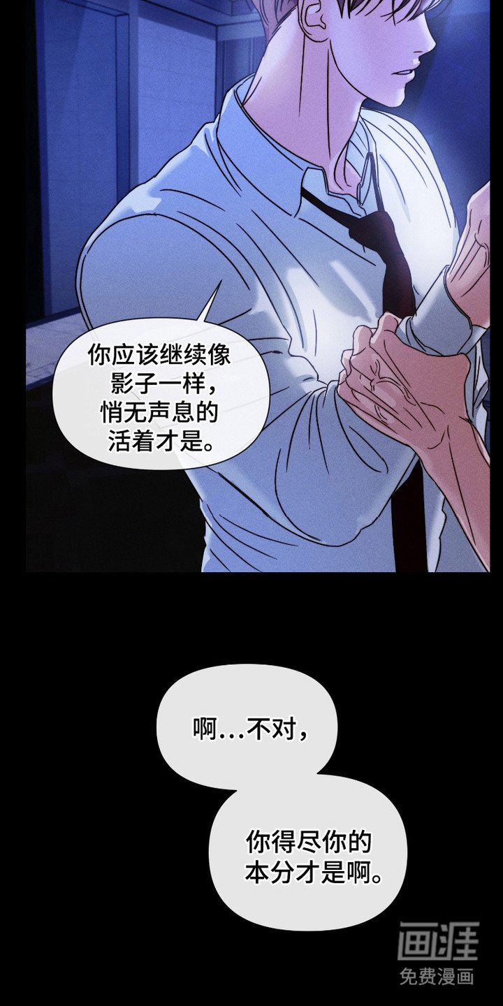 第8章：替代品