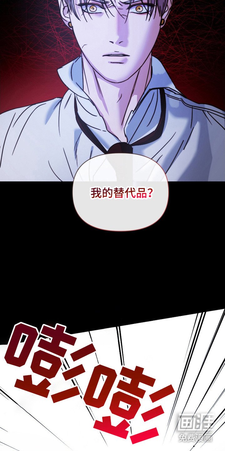 第8章：替代品
