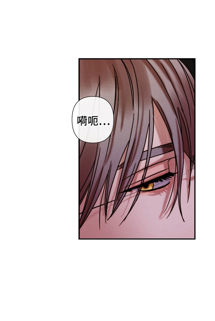 第9章：调头回家