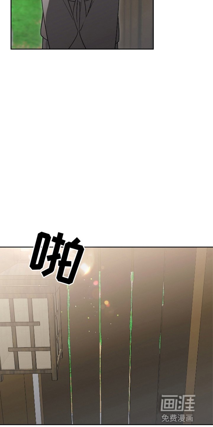 第11章：顺势而为