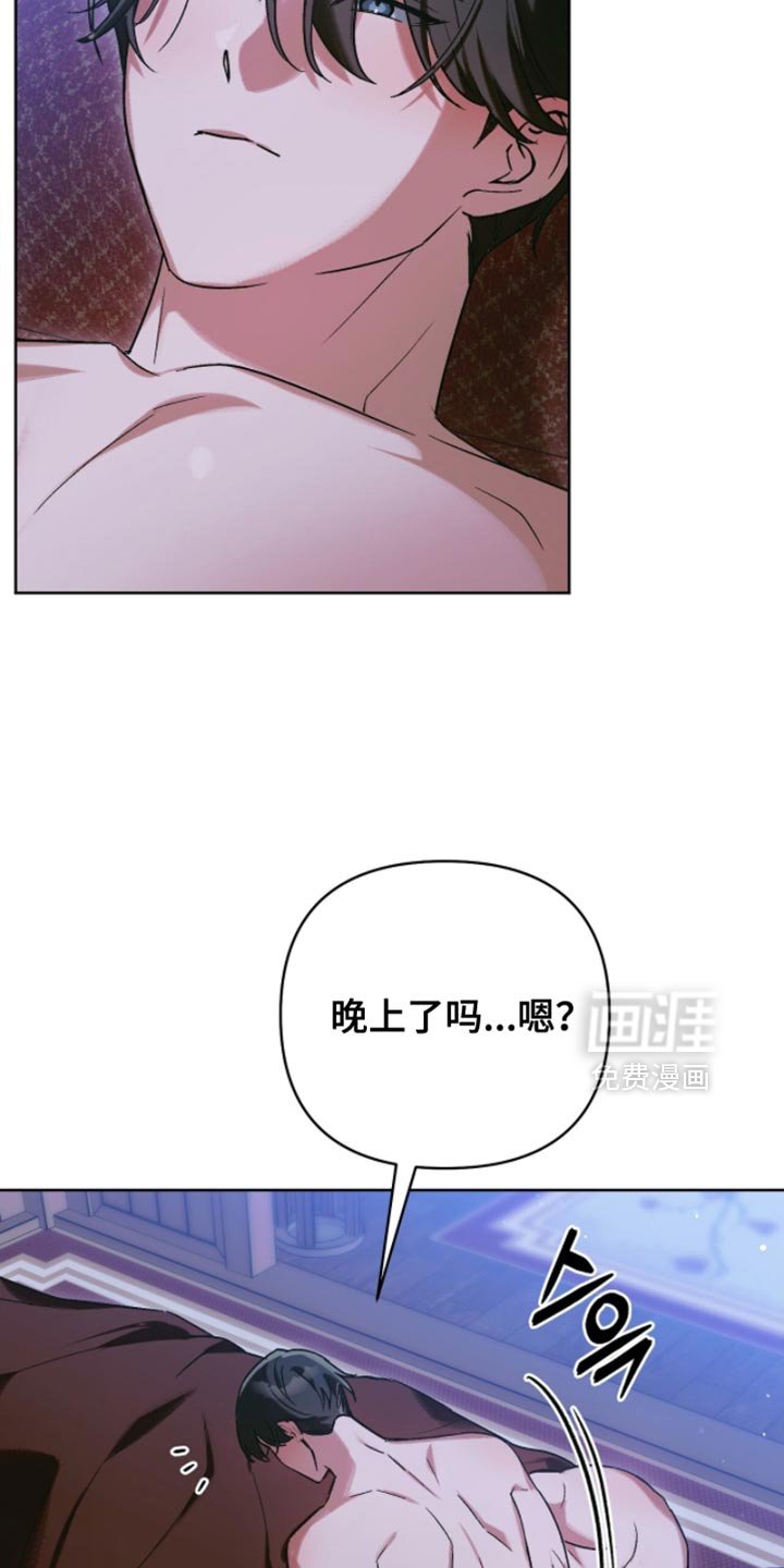 第56章：可爱的家伙