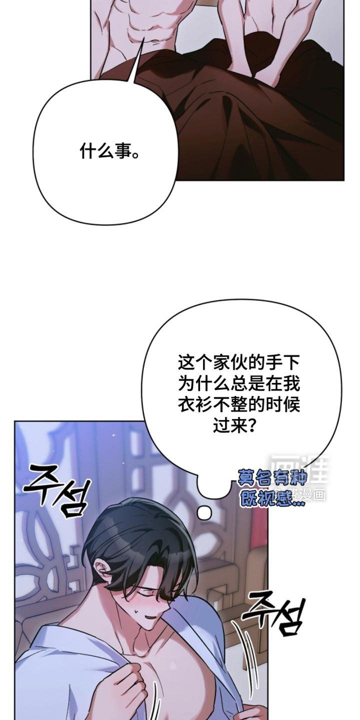 第56章：可爱的家伙