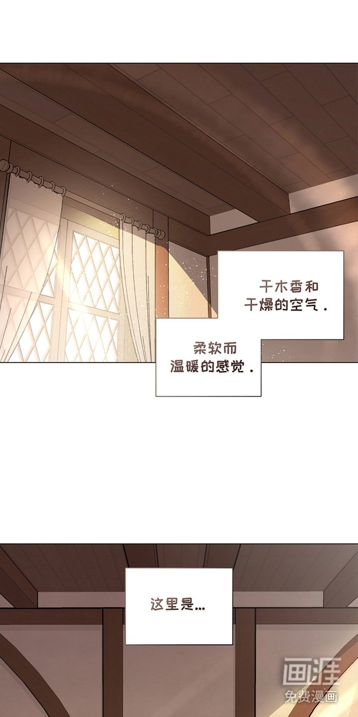 第10章：欧文的记忆